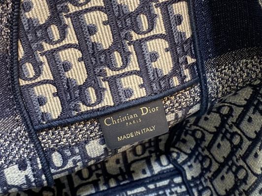 DIOR MEDIUM DIORCAMP BAG BLUE