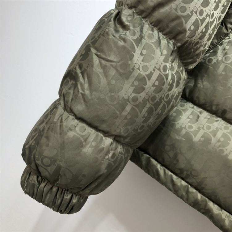 DIOR OBLIQUE DOWN JACKET - DRC001