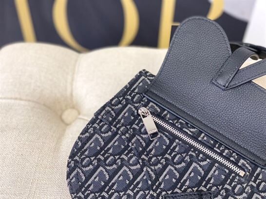 DIOR SADDLE POUCH - DIO012
