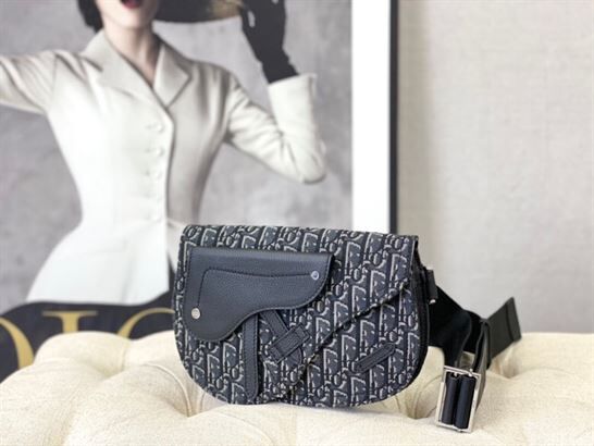 DIOR SADDLE POUCH - DIO012