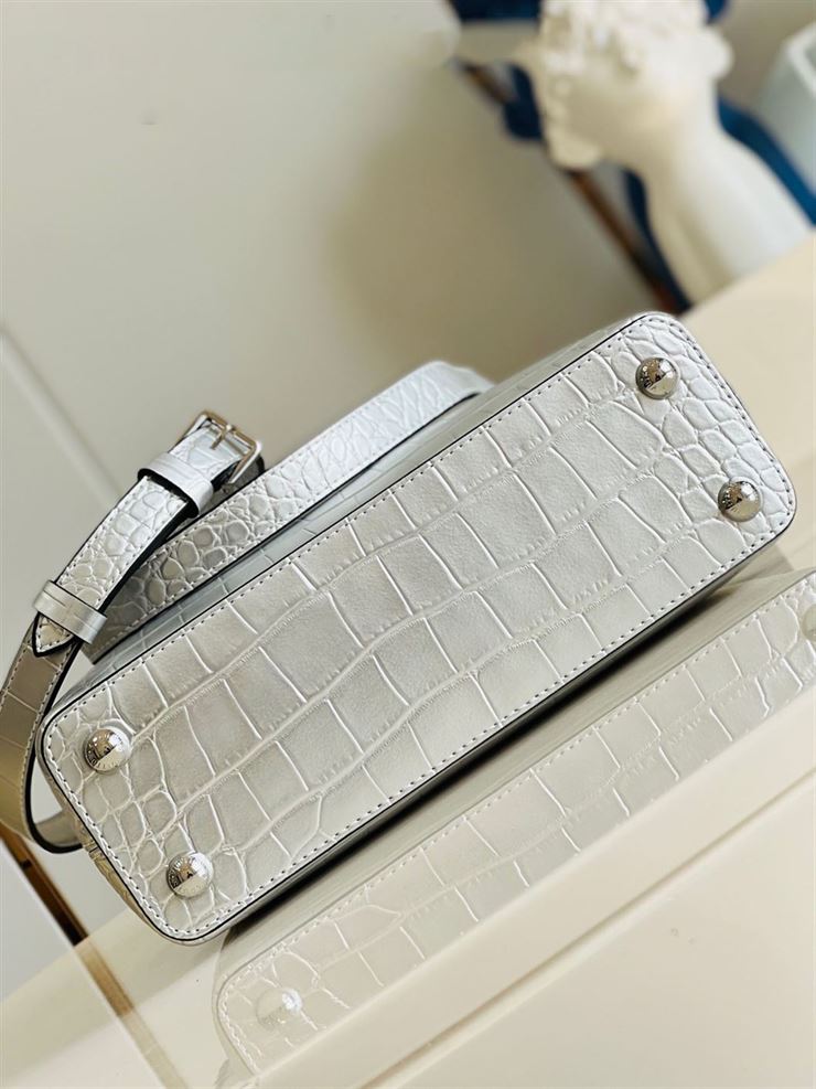 LOUIS VUITTON CAPUCINES BB Silver