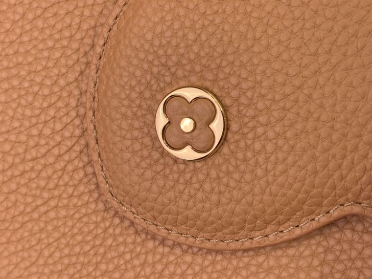 LOUIS VUITTON CAPUCINES BB BROWN