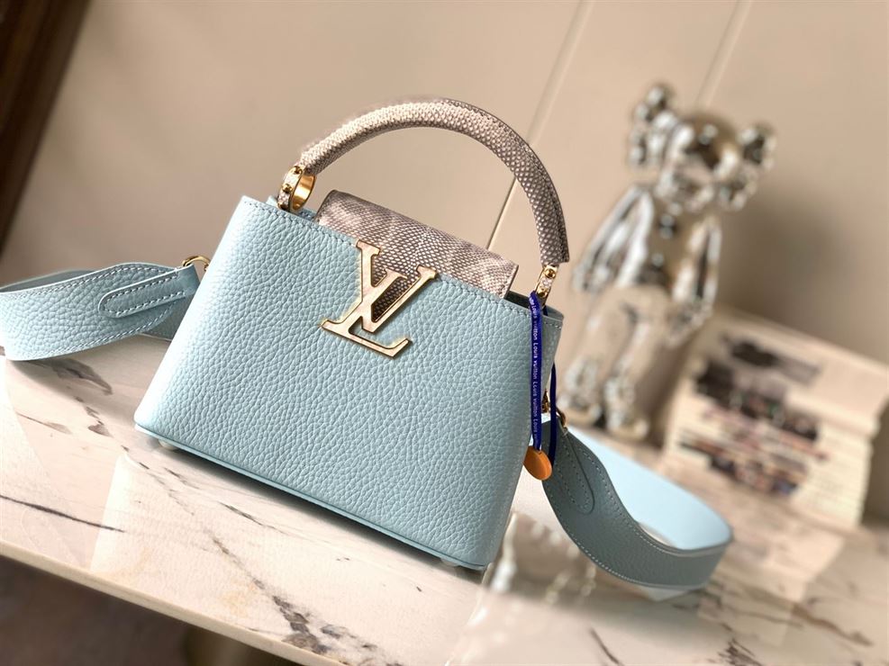 LOUIS VUITTON CAPUCINES MINI