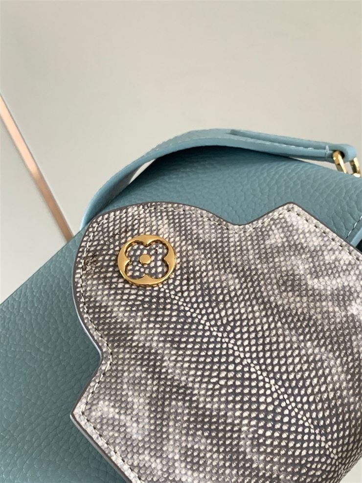 LOUIS VUITTON CAPUCINES MINI