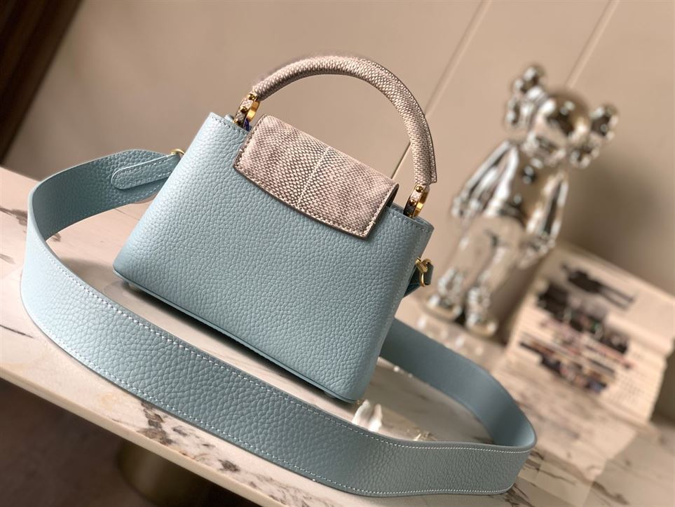 LOUIS VUITTON CAPUCINES MINI