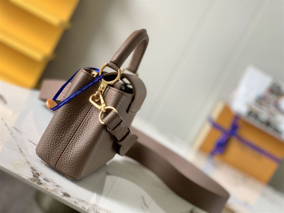 LOUIS VUITTON CAPUCINES MINI