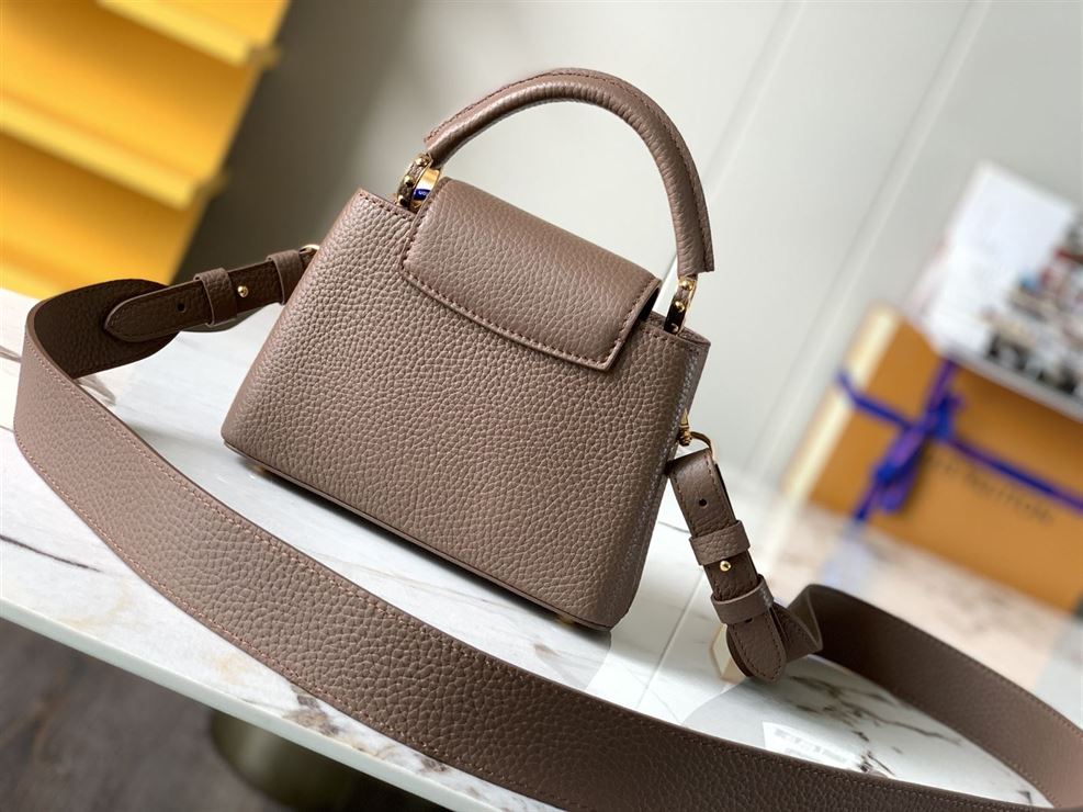 LOUIS VUITTON CAPUCINES MINI