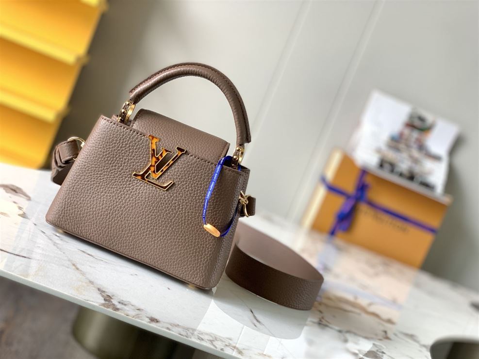 LOUIS VUITTON CAPUCINES MINI
