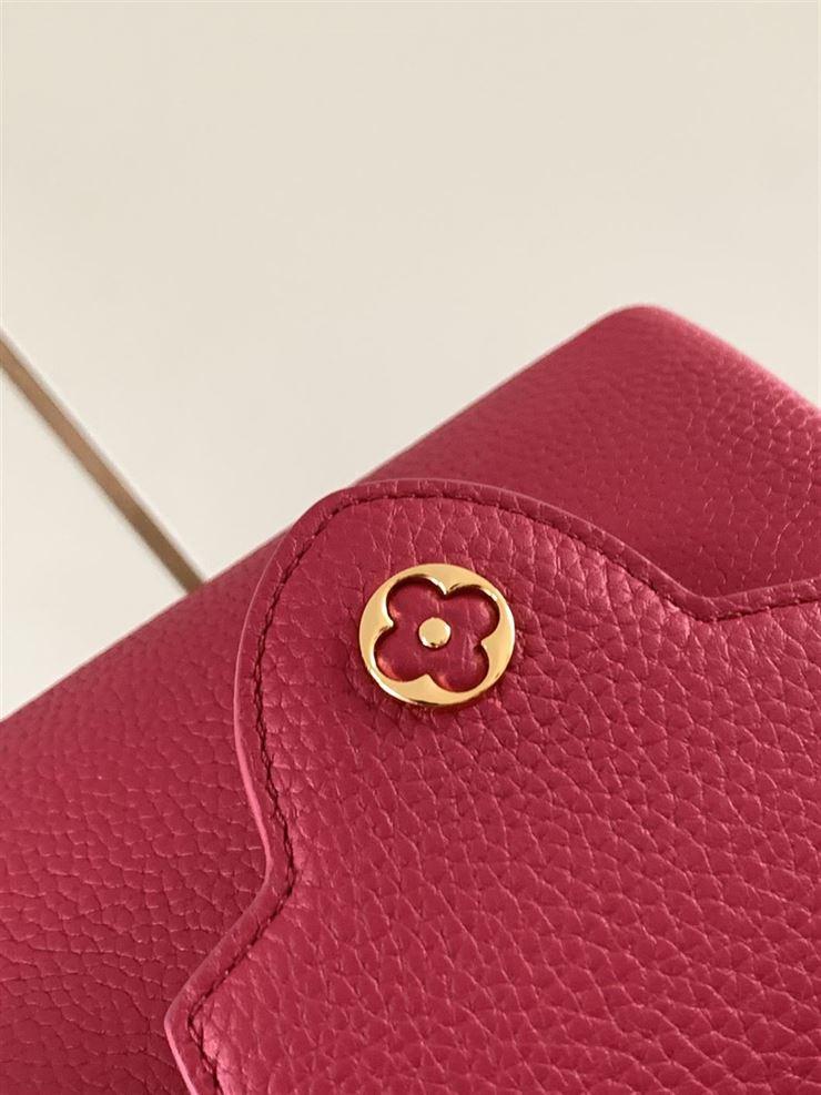 LOUIS VUITTON CAPUCINES MINI Red