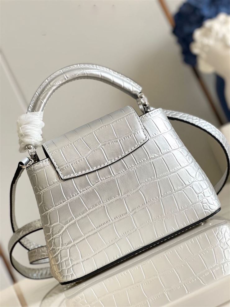 LOUIS VUITTON CAPUCINES MINI Silver