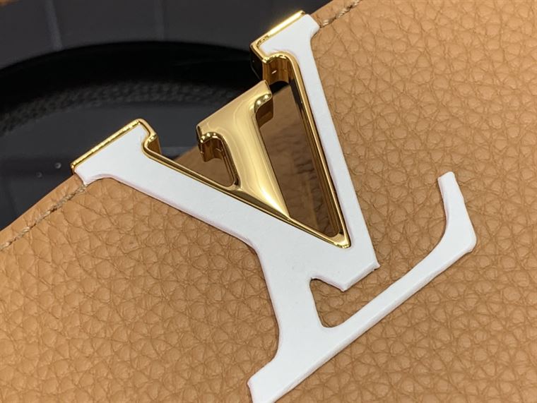 LOUIS VUITTON CAPUCINES MM Brown