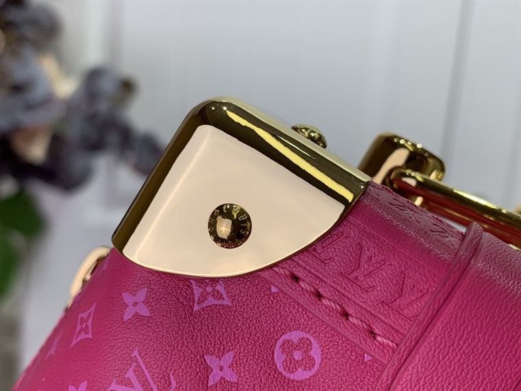 LOUIS VUITTON SIDE TRUNK Pink