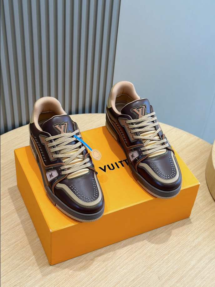 Louis Vuitton LV Trainer Marron Brown Sneaker