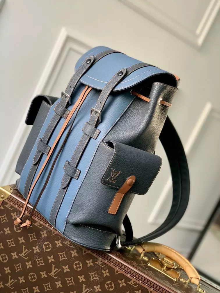 Louis Vuitton Bags