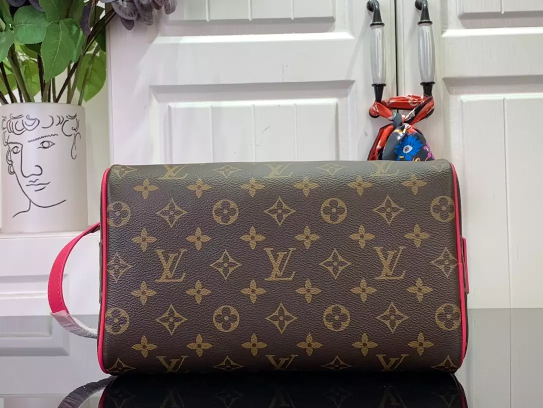 Louis Vuitton Bags