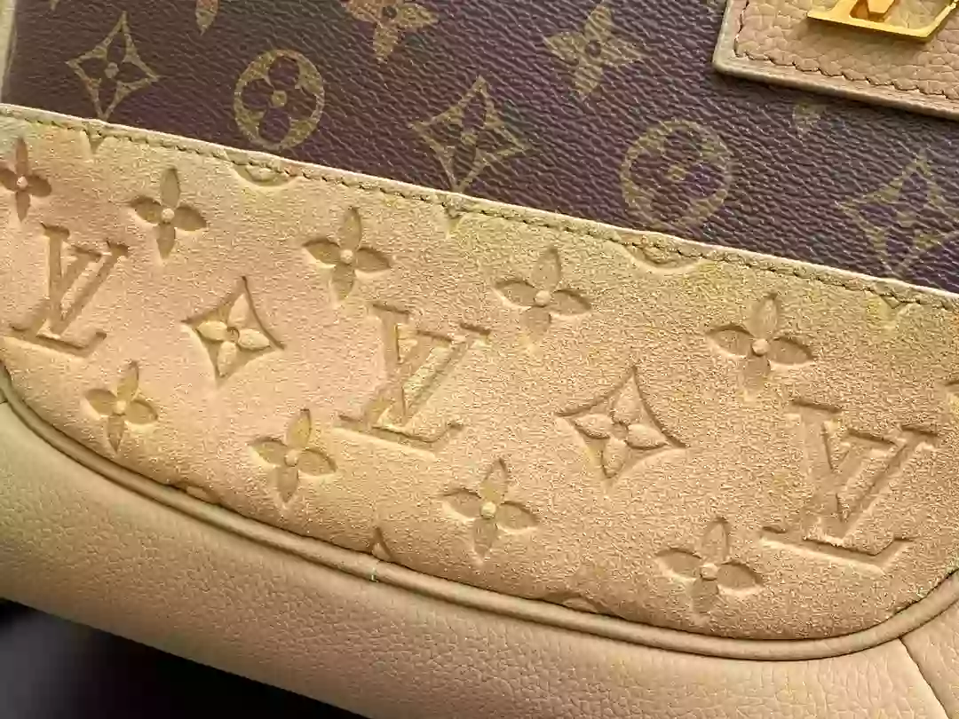 Louis Vuitton Bags
