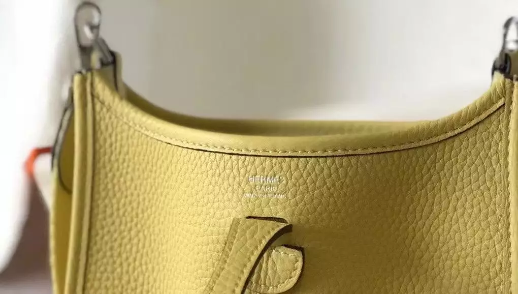 Hermes Bag