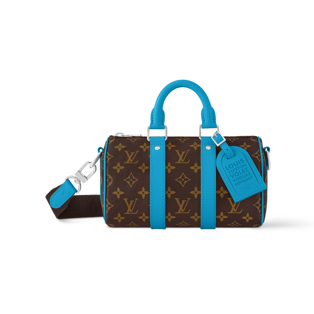 Louis Vuitton Bags