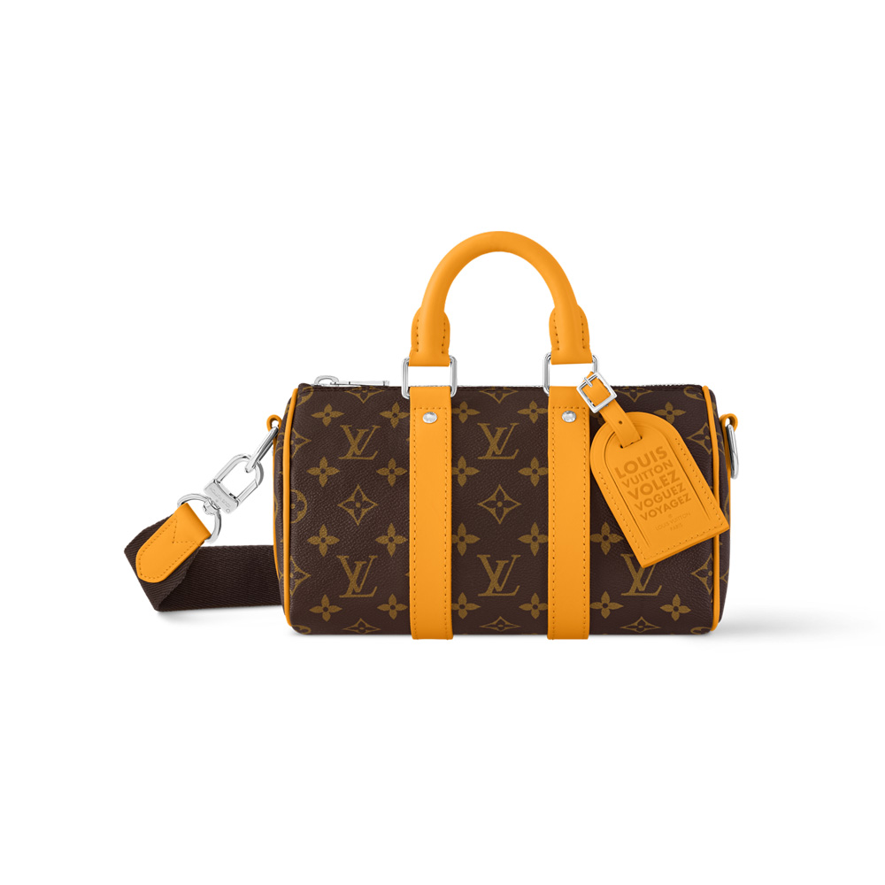 Louis Vuitton Bags