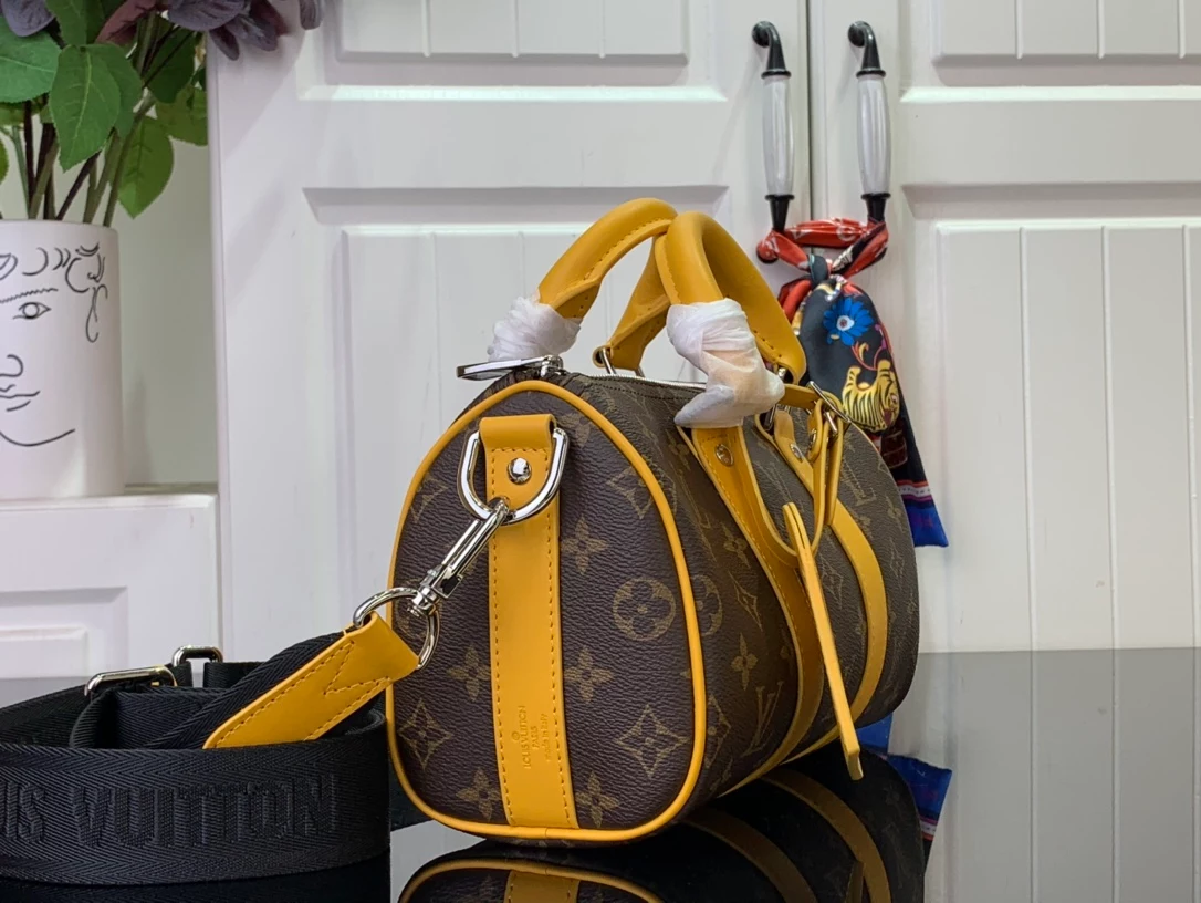 Louis Vuitton Bags