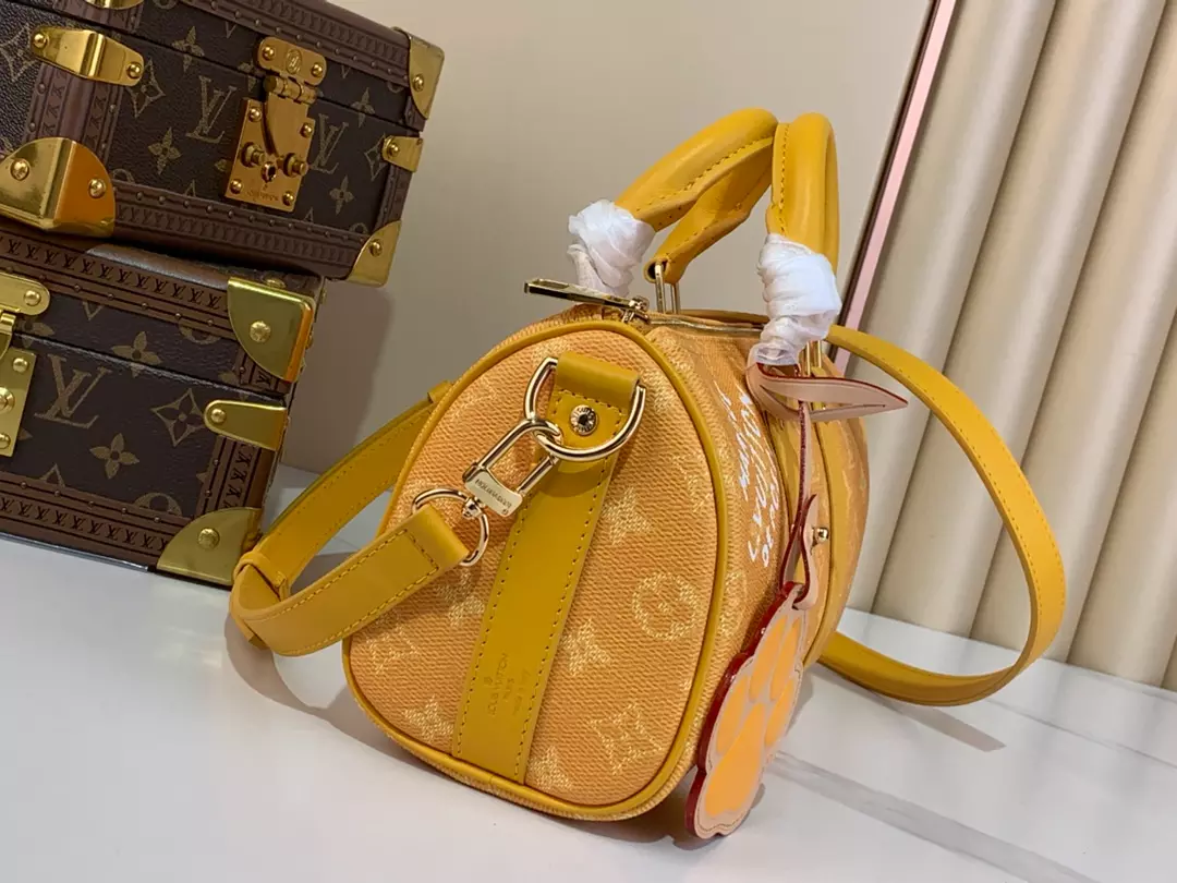 Louis Vuitton Bags