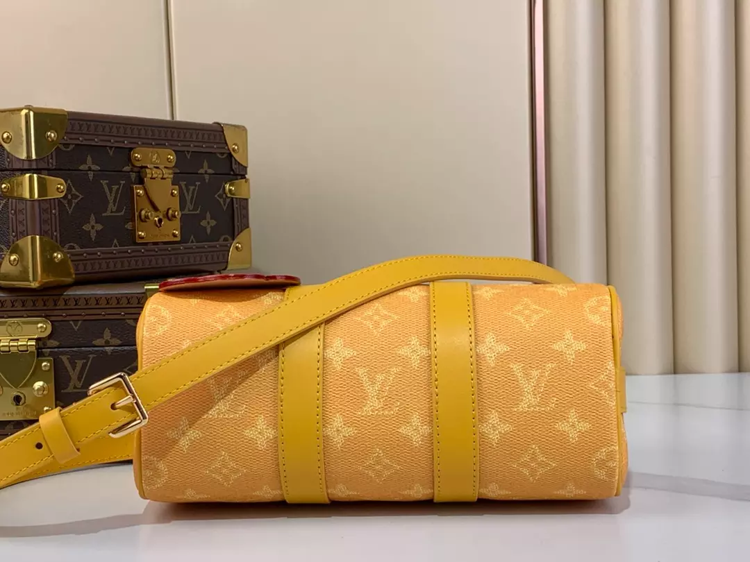 Louis Vuitton Bags