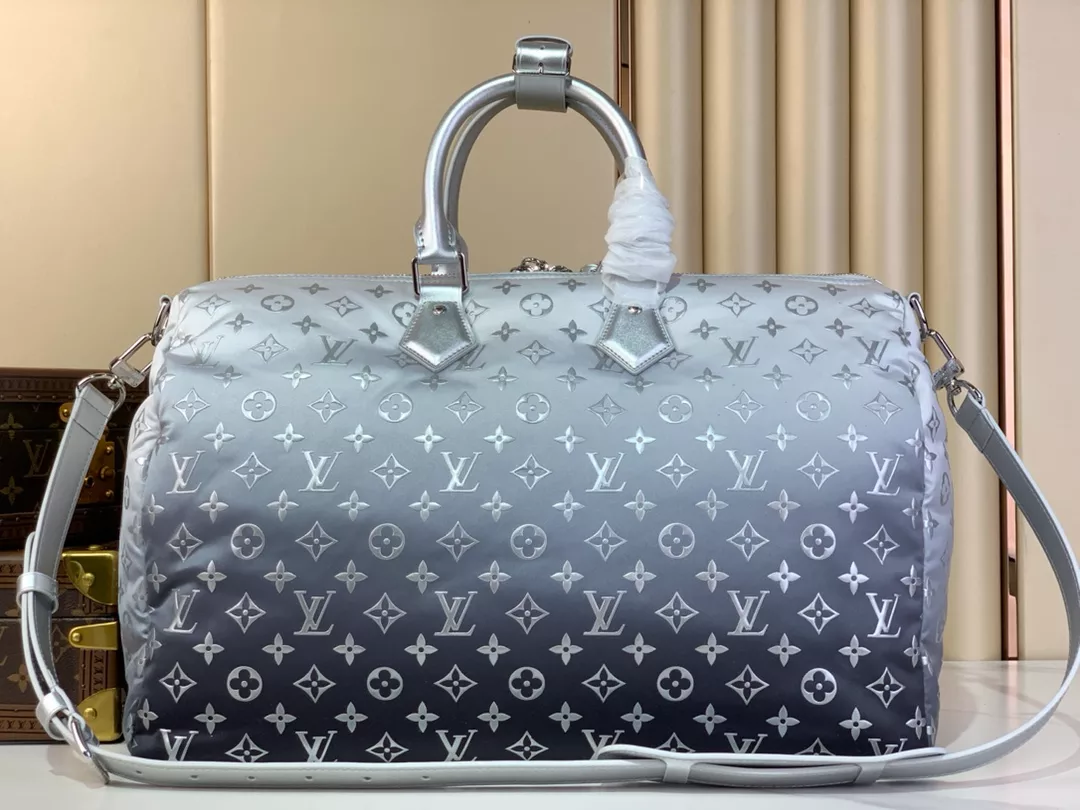 Louis Vuitton Bags
