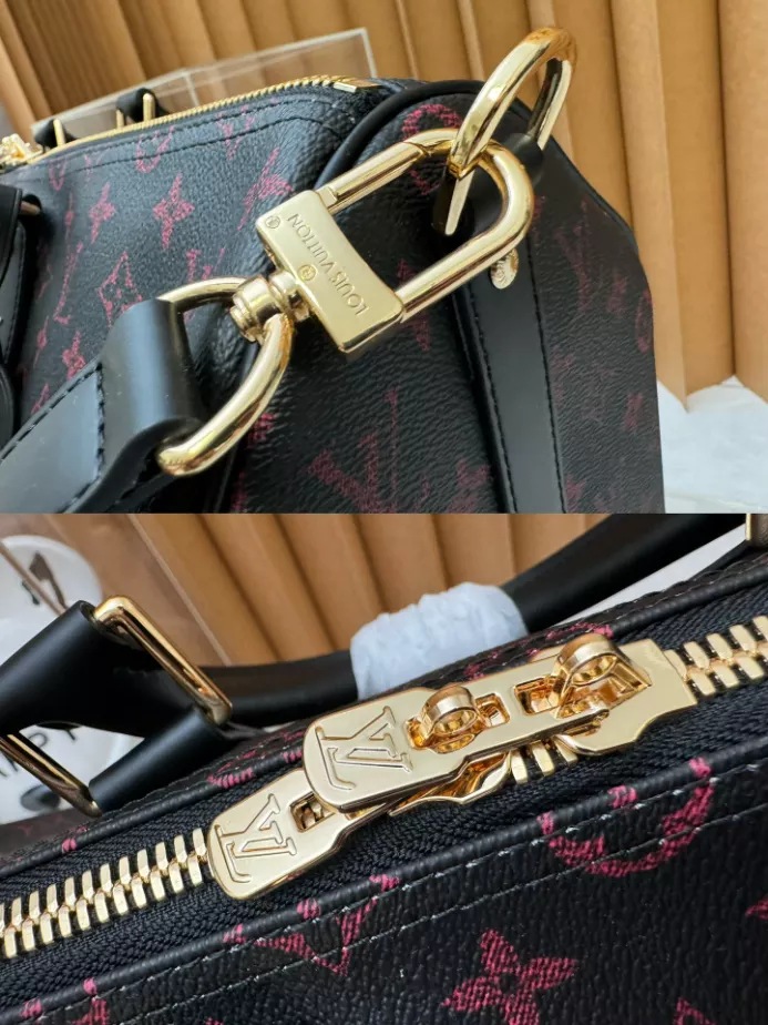 Louis Vuitton Bags