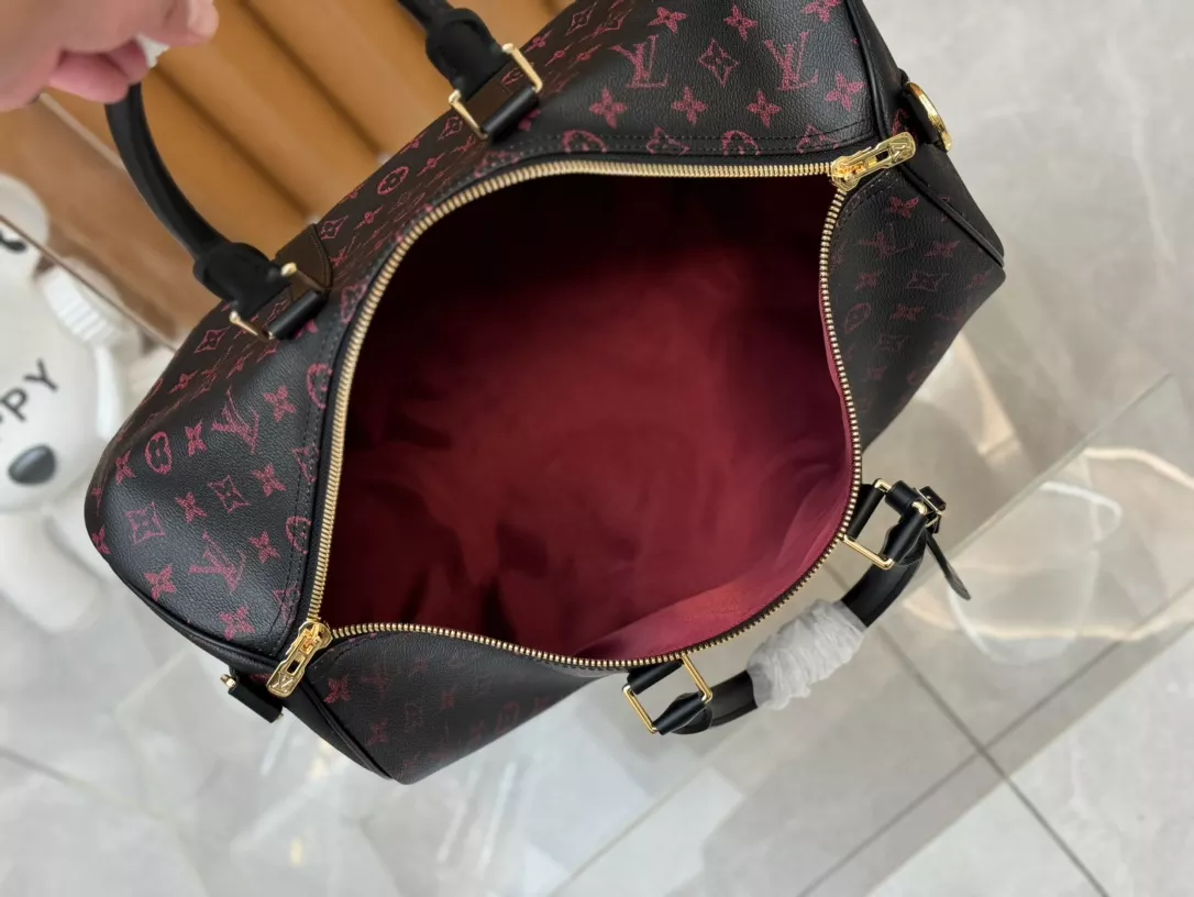 Louis Vuitton Bags