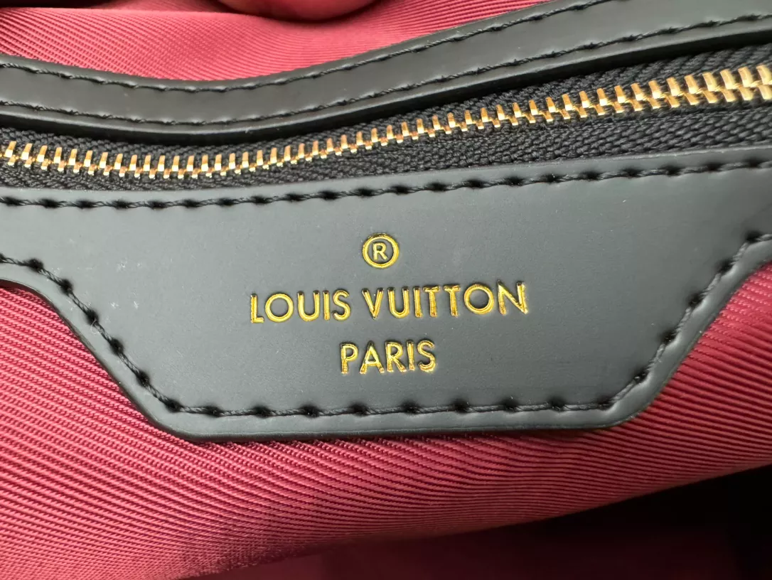 Louis Vuitton Bags
