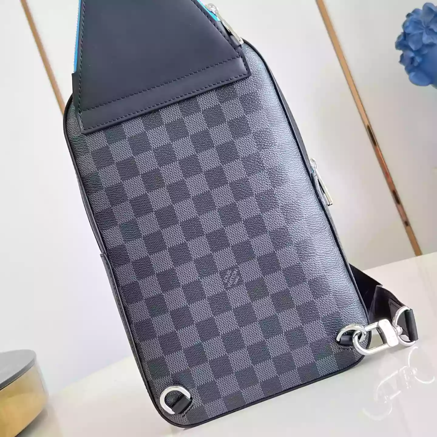 Louis Vuitton Bags
