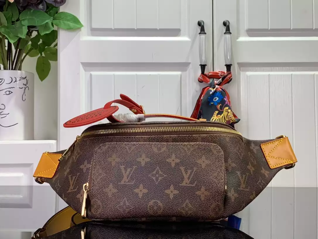 Louis Vuitton Bags