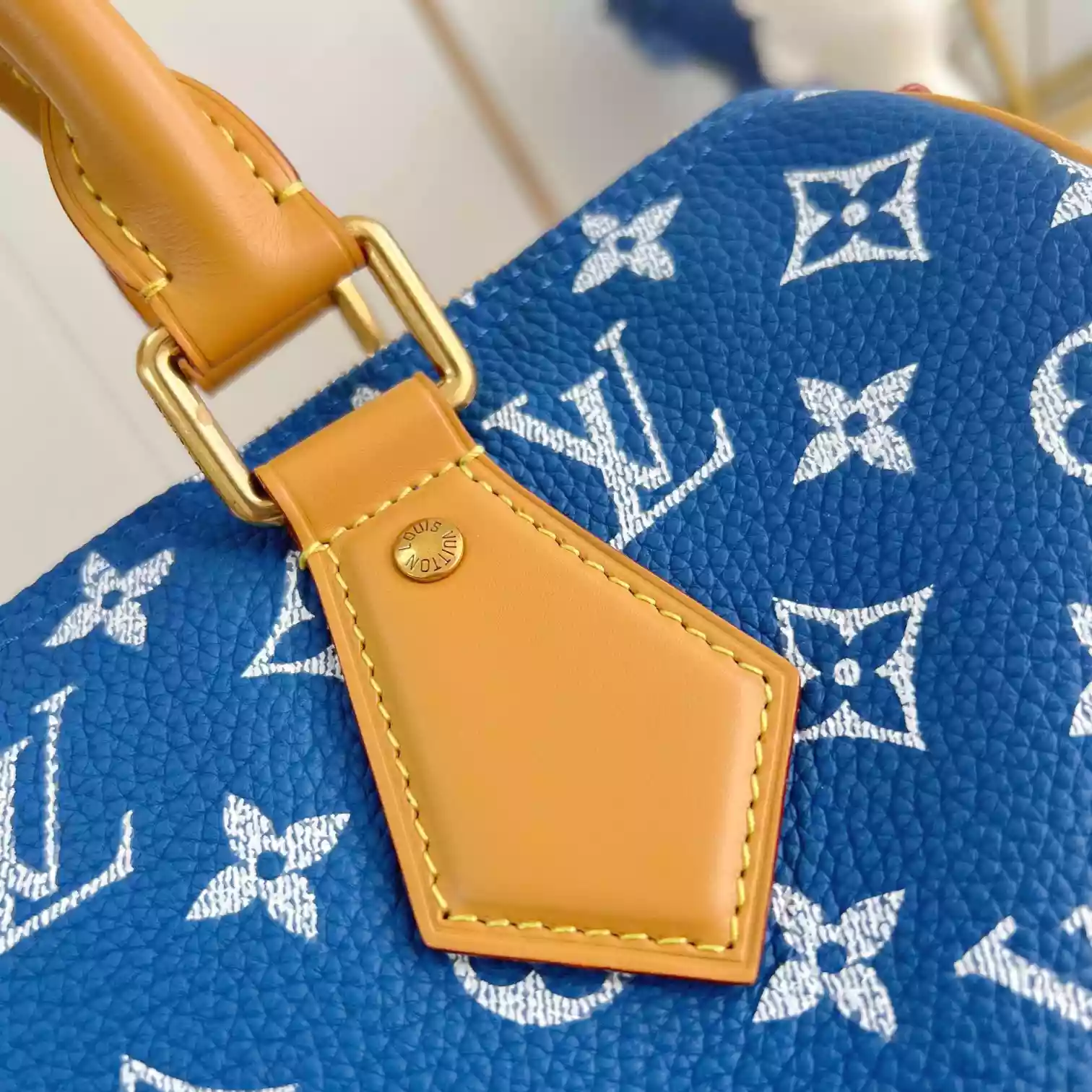 Louis Vuitton Bags