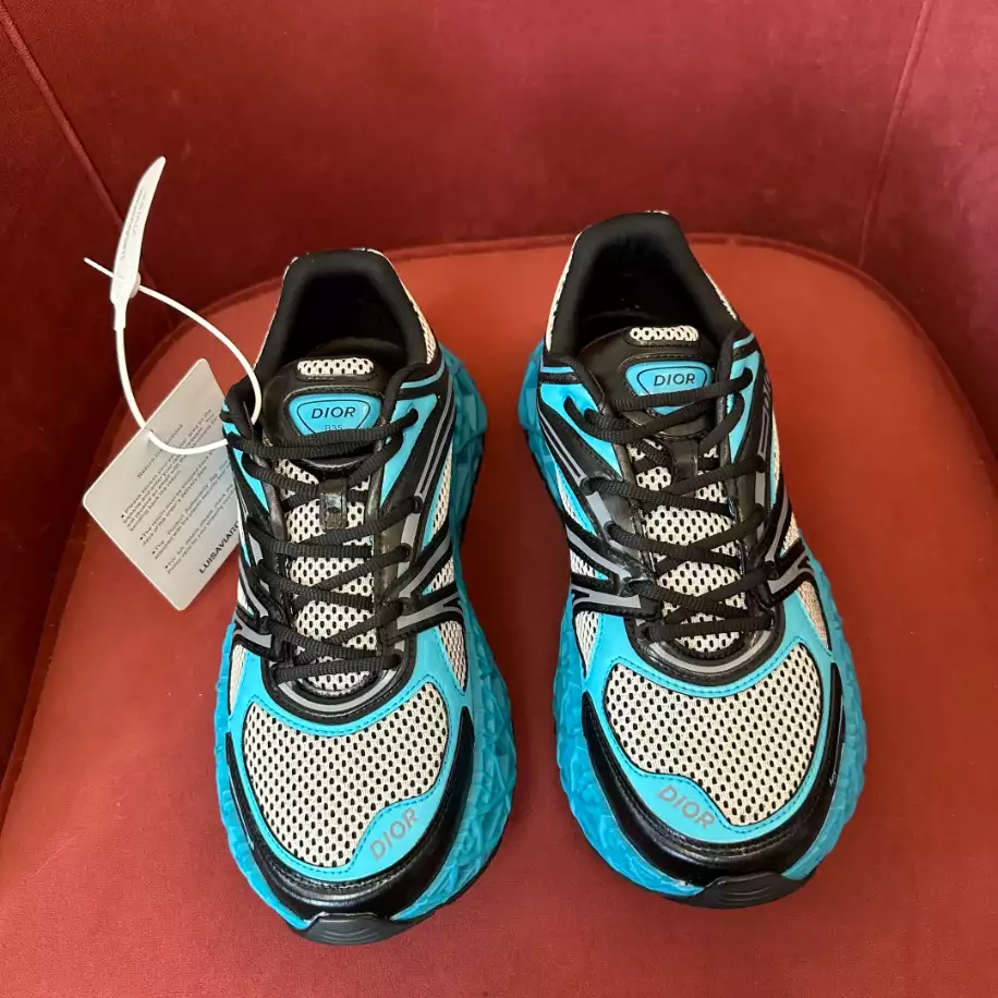 DIOR B35 BLADE COUPLE SNEAKERS