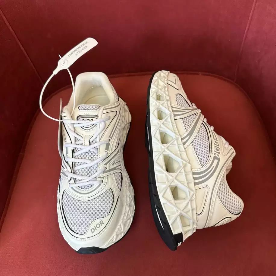 DIOR B35 BLADE COUPLE SNEAKERS