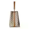 GUCCI GG CANVAS EMBLEM MEDIUM BUCKET BAG BEIGE/BROWN 2025 - BG112 GUCCI GG CANVAS EMBLEM MEDIUM BUCKET BAG BEIGE/BROWN 2025